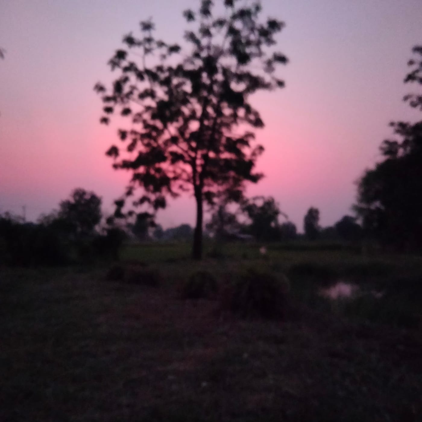 Photograph of ค่ายมวยเกียรติพันธมิตร