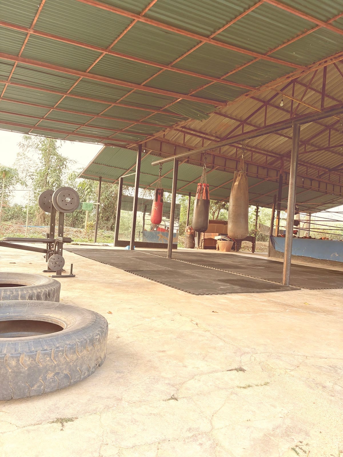 Photograph of Warhog Muay Thai gym