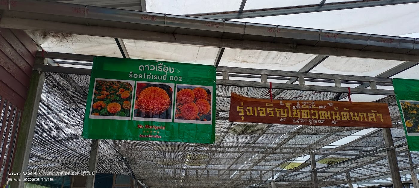 Photograph of ค่ายมวยหนองกี่พาหุยุทธ